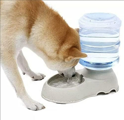 Dog Water Dispenser