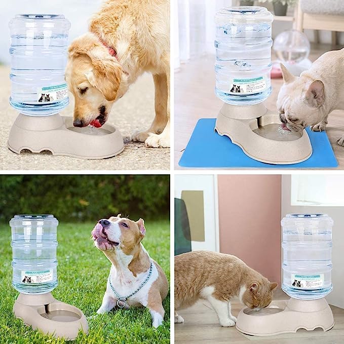 Dog Water Dispenser
